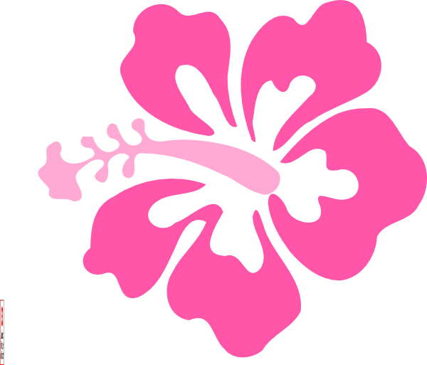 Coral Hibiscus clip art - vector clip art online, royalty free 