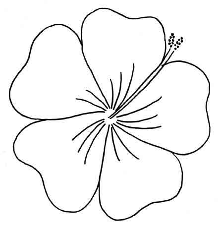 Hibiscus Outline - Clipart library