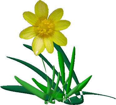 Animated Spring Flowers - Clipart library