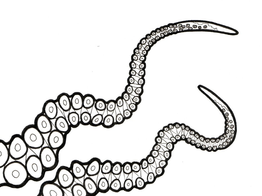 Featured image of post Easy Octopus Tentacle Drawing The theme of this tutorial is drawing an octopus