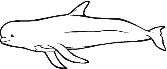whale-coloring-pages-19101