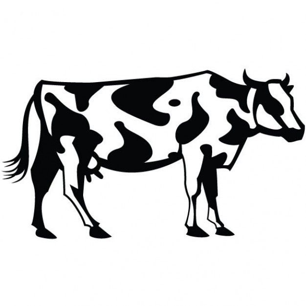 Cattle Vectors, Photos and PSD files | Free Download