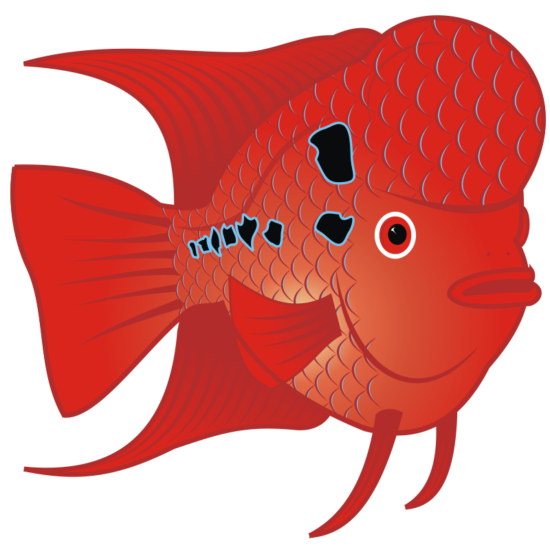 Clipart - Red Goldfish