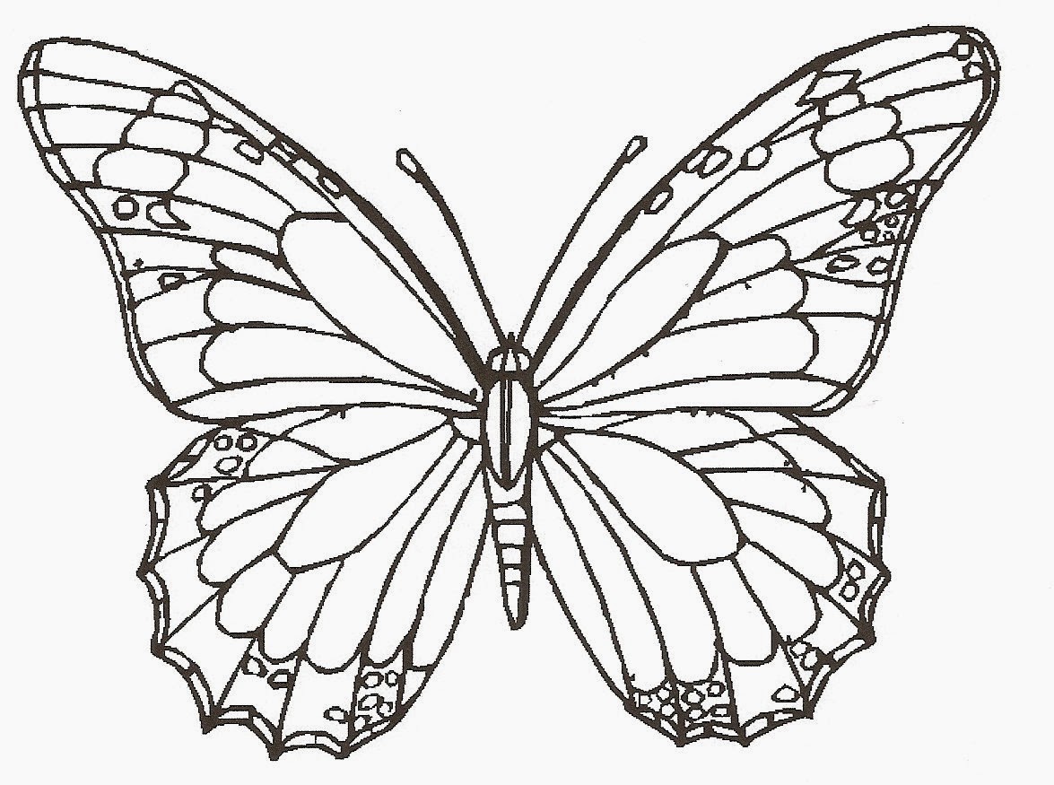 Featured image of post Easy Butterfly Drawings In Pencil : Momjunction brings this butterfly drawing for kids to begin their tryst with creativity.