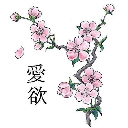 Free Sakura Flower Drawing, Download Free Sakura Flower Drawing png