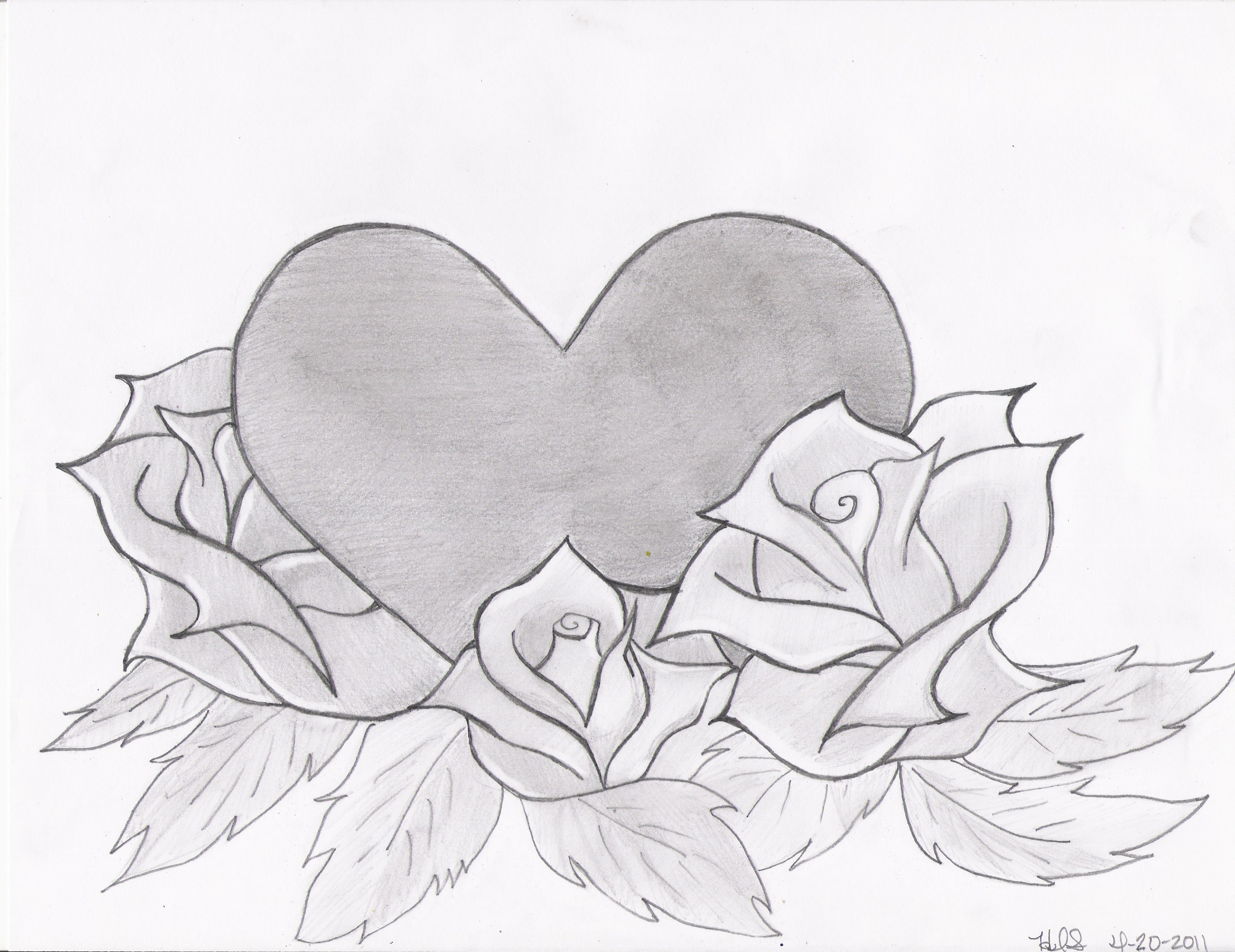 Pencil Drawings Of Roses Download pencildrawing2019