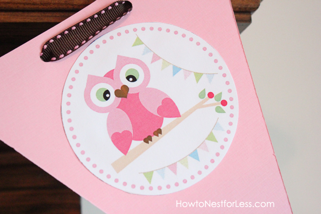 Owl Themed Birthday Party with FREE Printables - How to Nest for Less�
