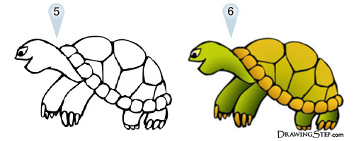 Drawing Cute Cartoon Turtle Step by Step