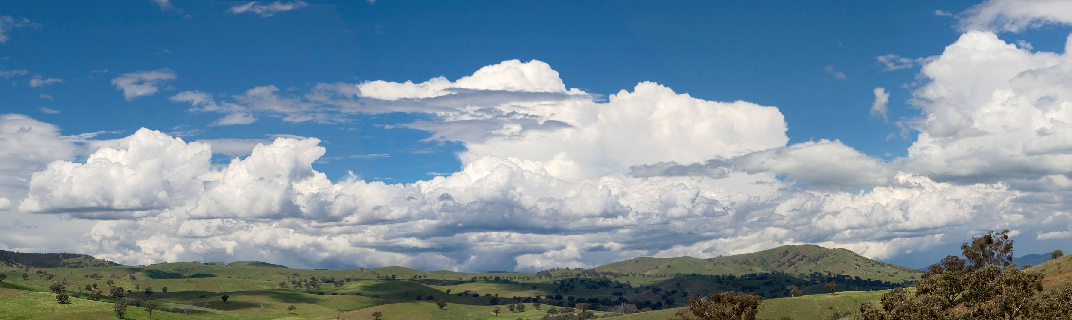 Get to Know a Cloud | California Academy of Sciences