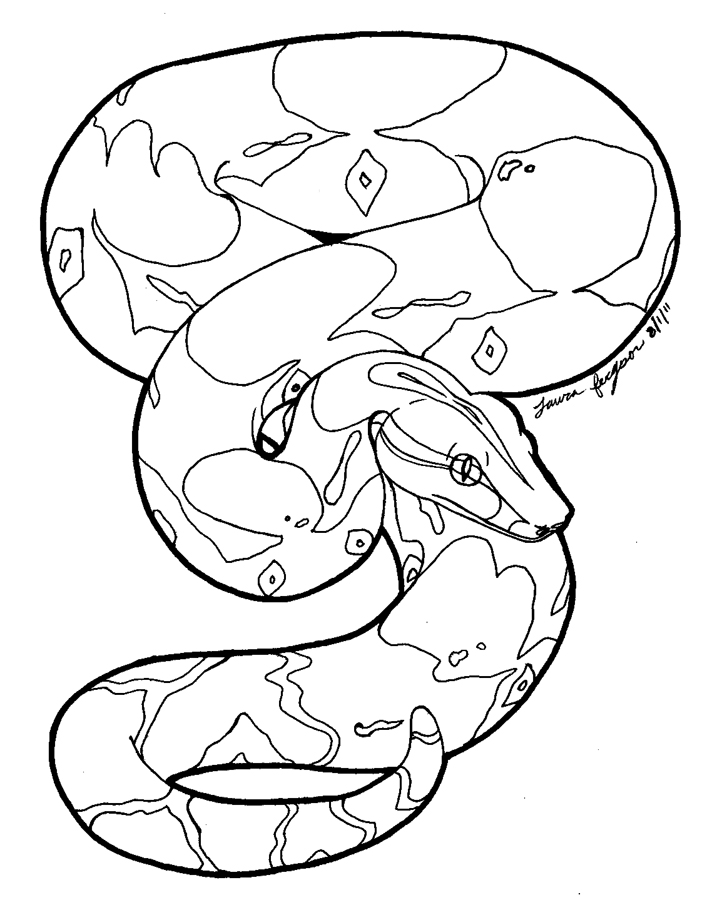 boa constrictor coloring page - Clip Art Library
