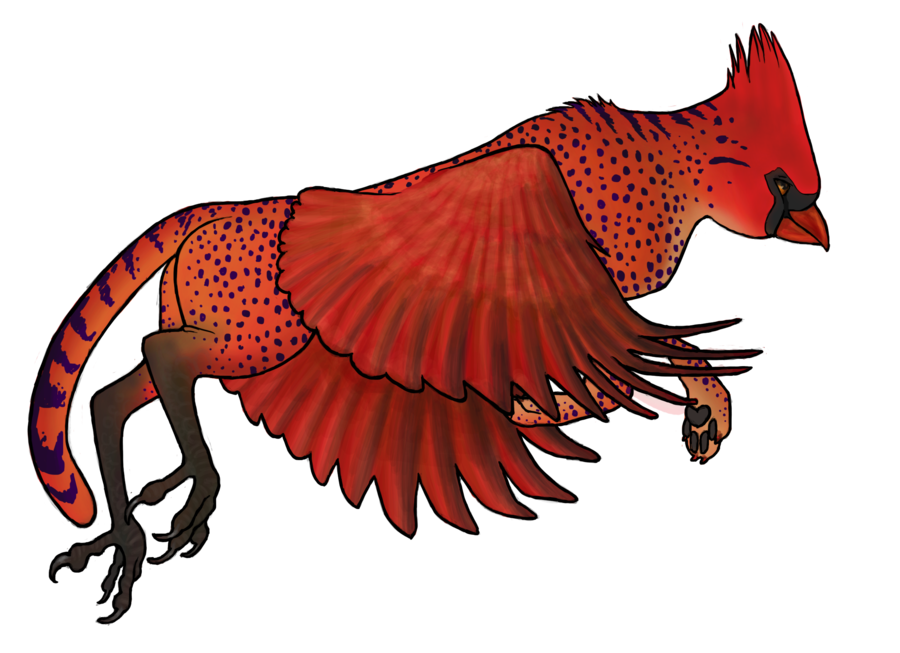 CLOSED - Cheetah Cardinal Gryphon by craesin on Clipart library