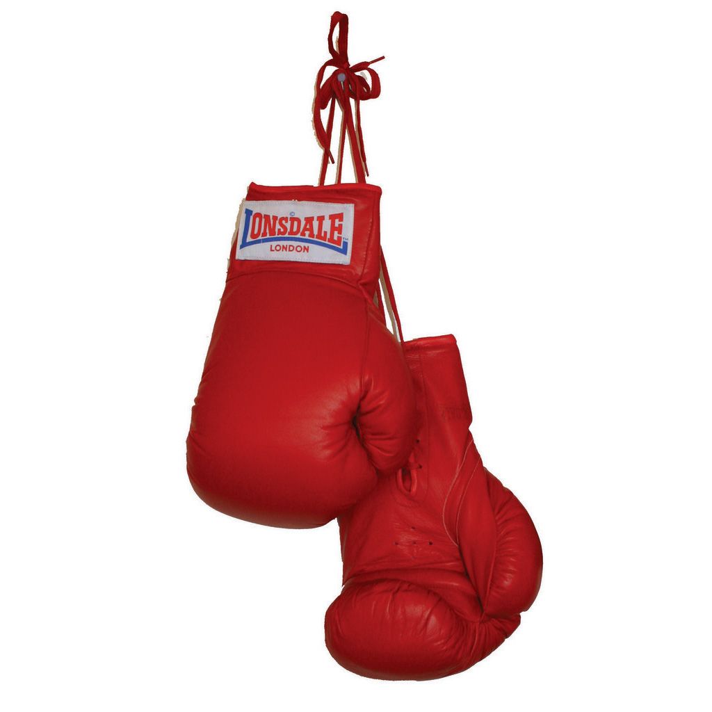 Pictures Of Boxing Gloves 