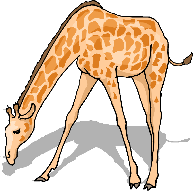 Free Free Giraffe Images, Download Free Free Giraffe Images png images