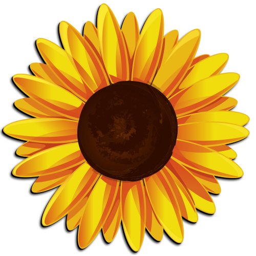 Cartoon Sunflower Pictures 
