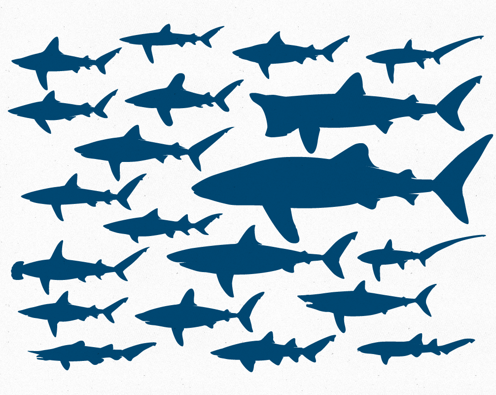 Free Vector File � 20 Shark Silhouettes | The Creative Portfolio 