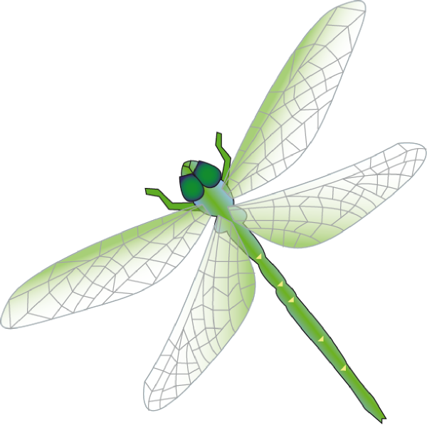 dragonfly clipart free download - photo #2