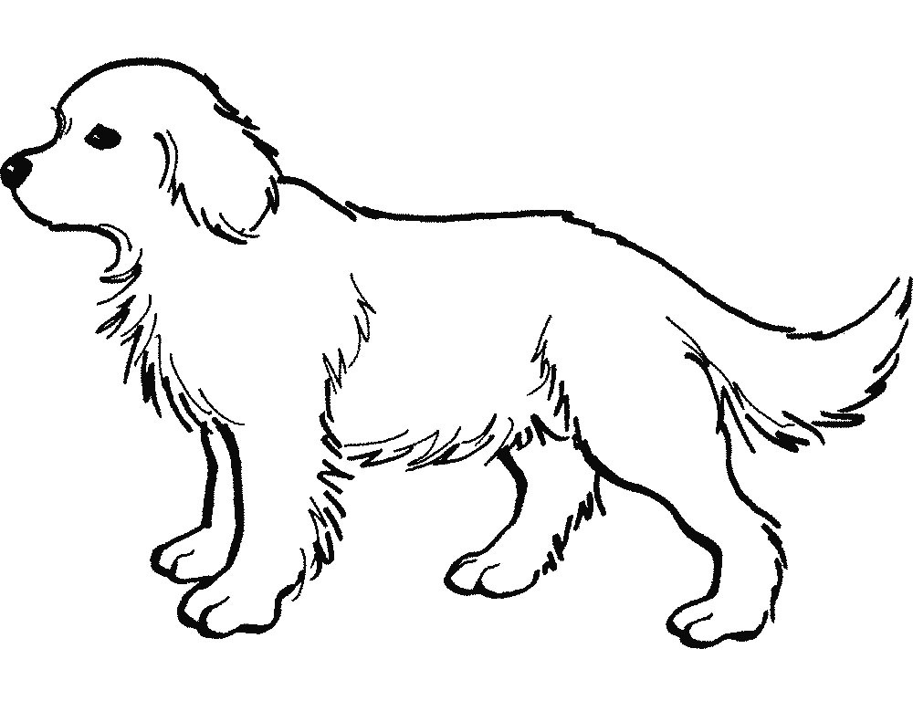 Free Dog Bone Graphic, Download Free Dog Bone Graphic png images, Free