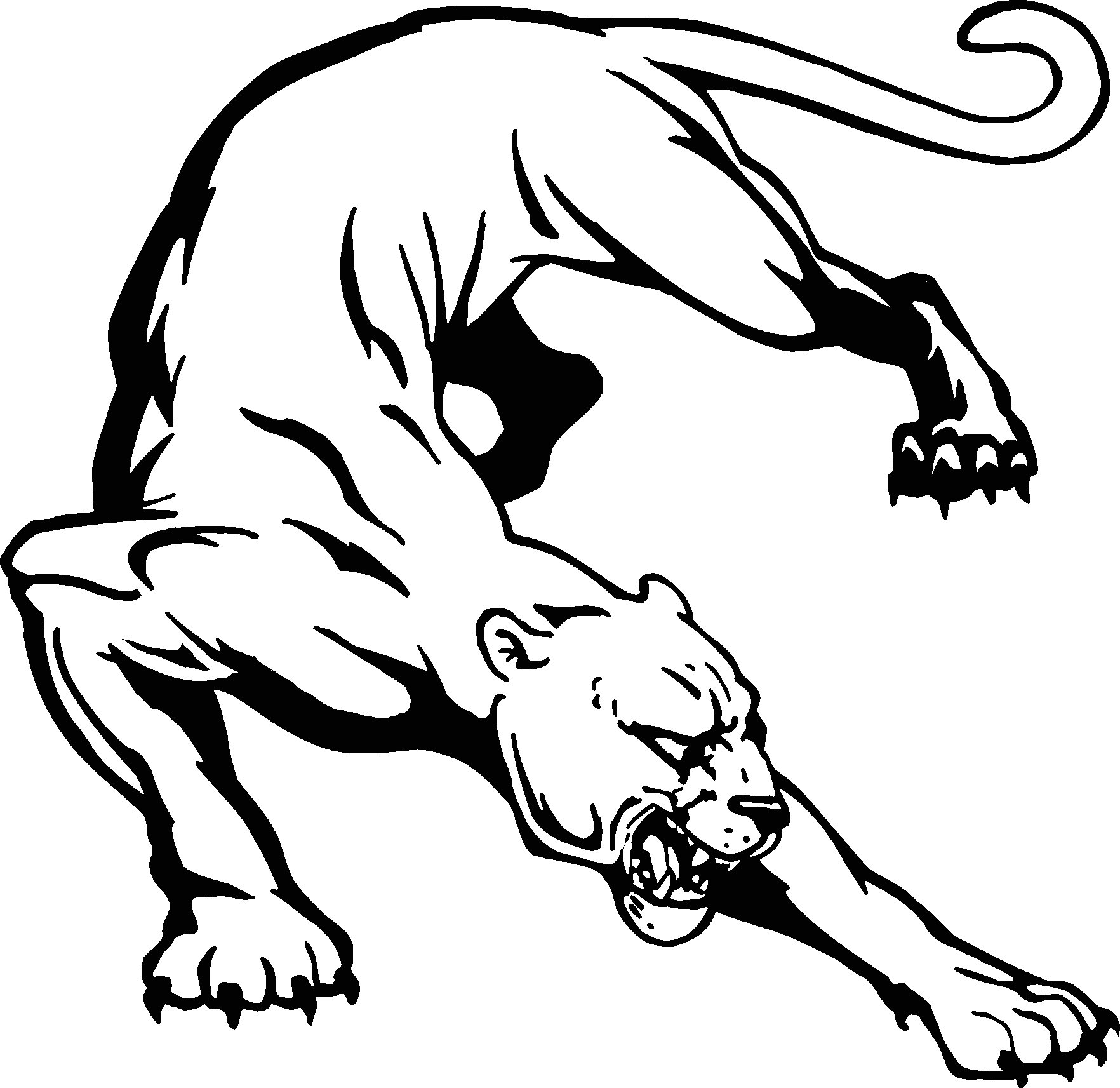 Panther Clipart - Clipart library