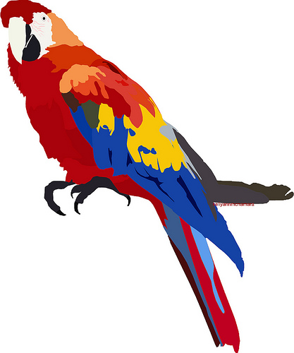 free clip art cartoon parrot - photo #33