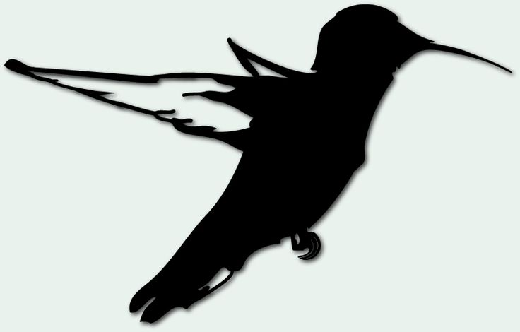 Hummingbird silhouette | Tattoo ideas | Clipart library