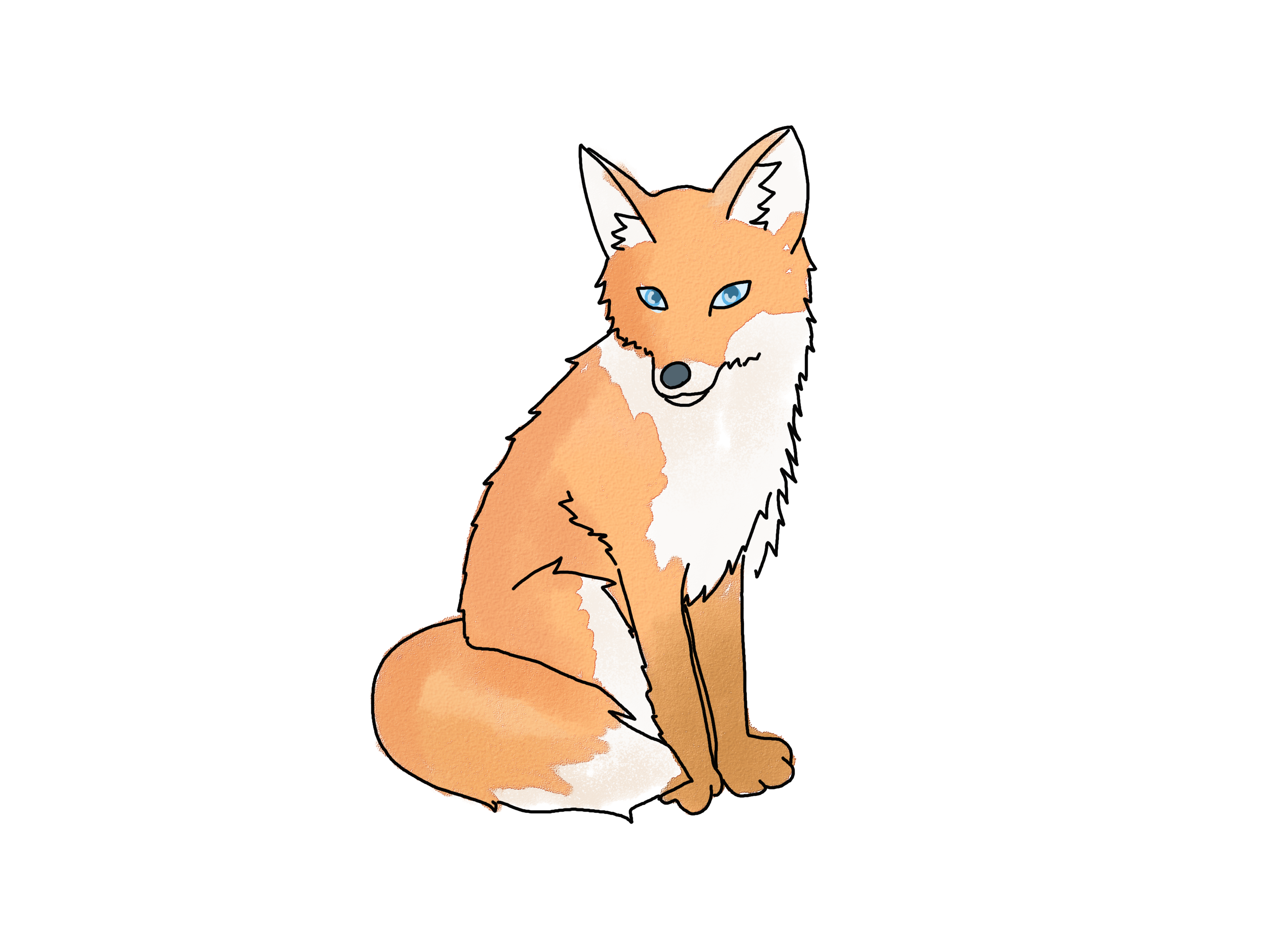 4 Ways to Draw a Fox - wikiHow