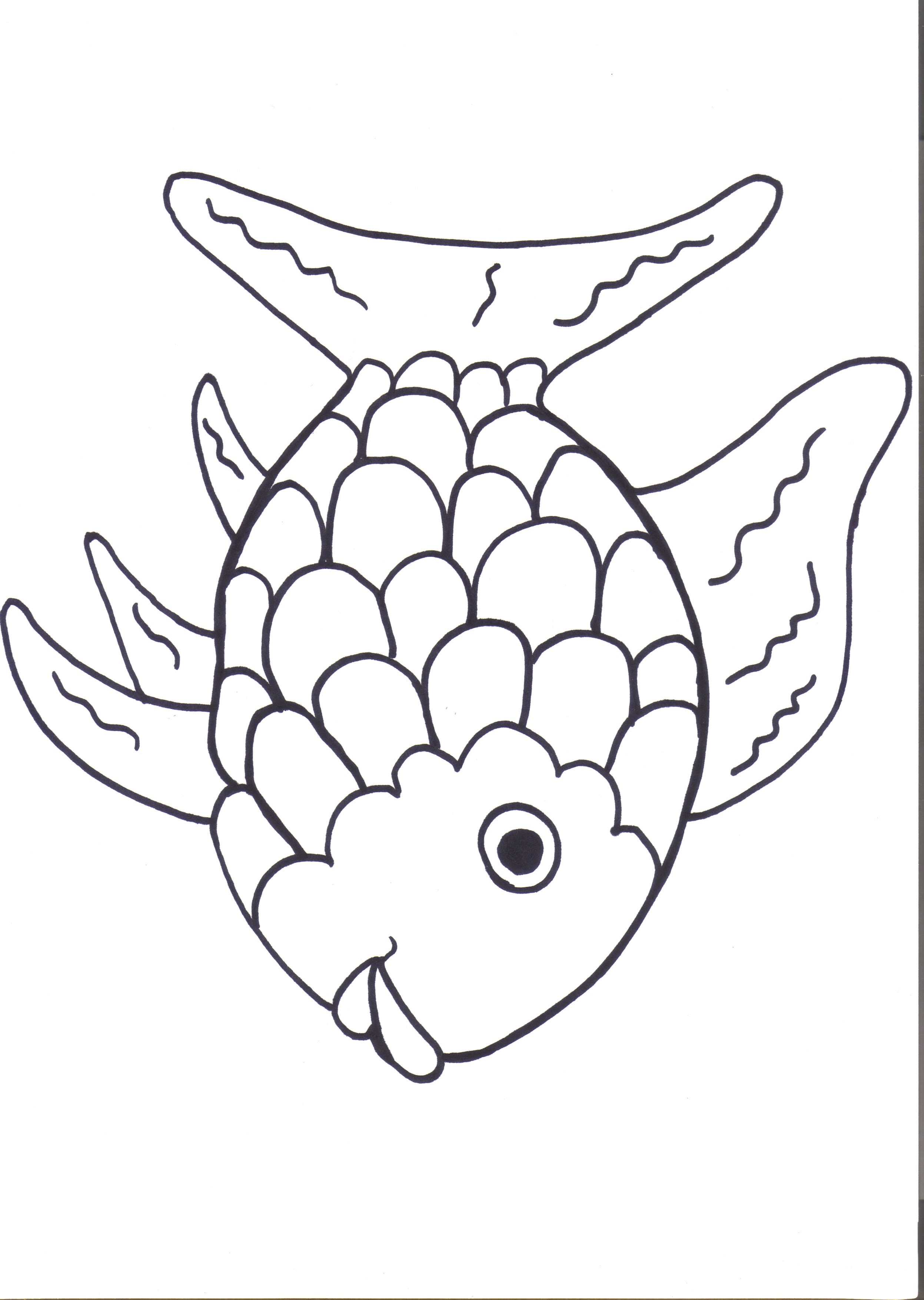 Free Rainbow Fish Outline Download Free Rainbow Fish Outline png