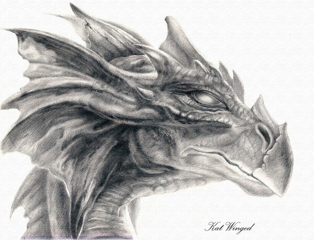 Detailed Dragon Head Drawings Clip Art Library