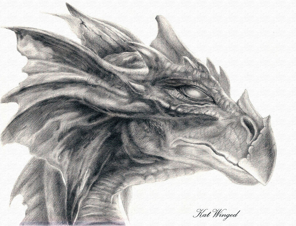 drawing of a dragon head