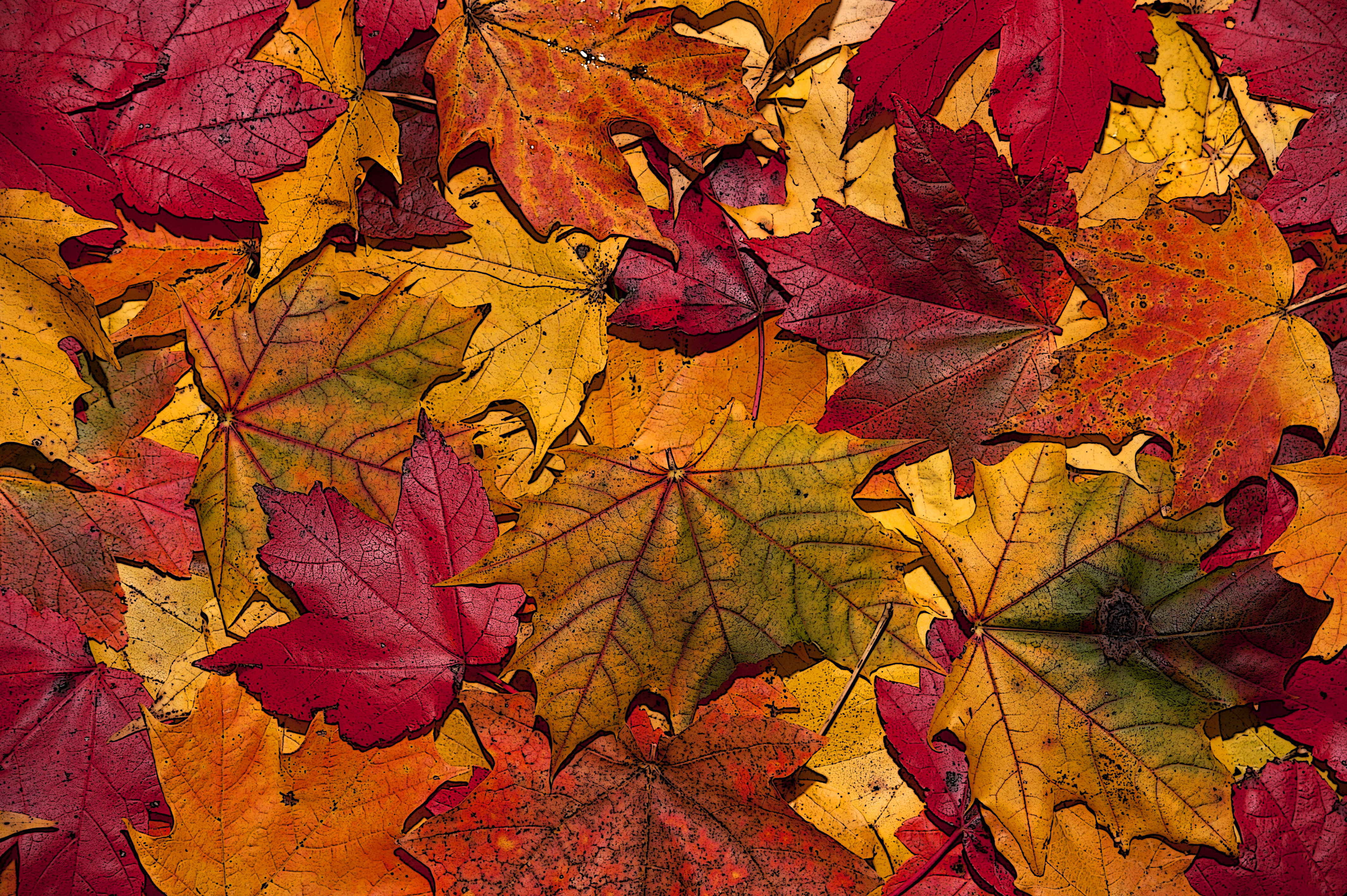 Free Autumn Leaves Printables