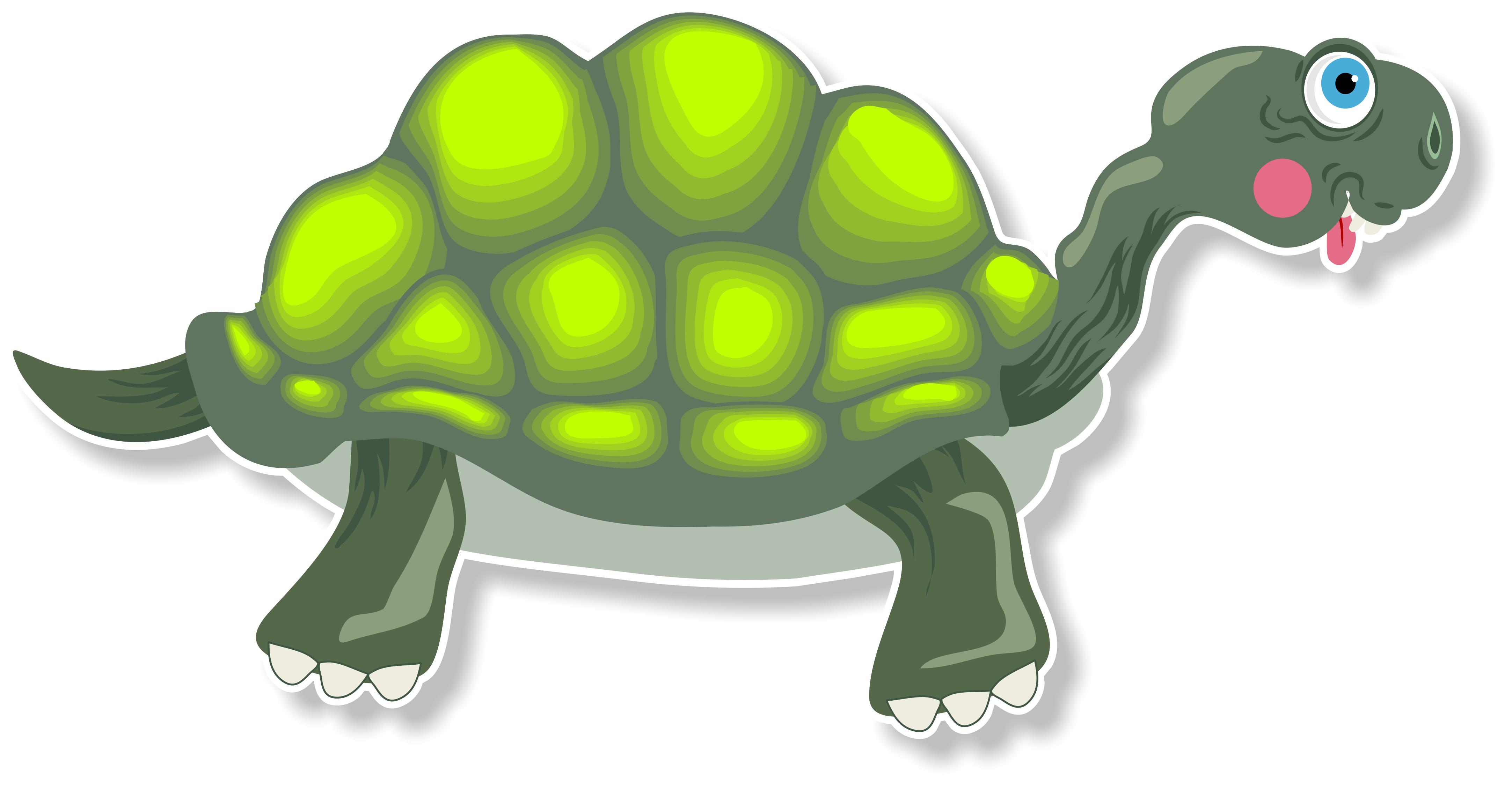 Cartoon Tortoise | Free Images at Clipart library - vector clip art 