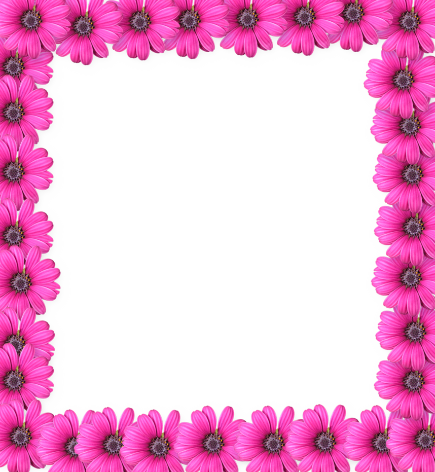 Image gallery for : floral frame pink