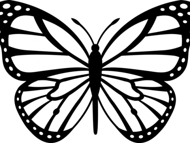Butterfly Drawings Black And White - Gallery
