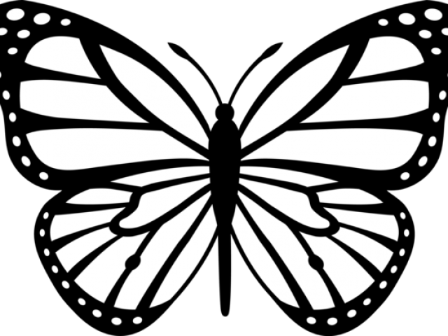 simple butterfly drawing