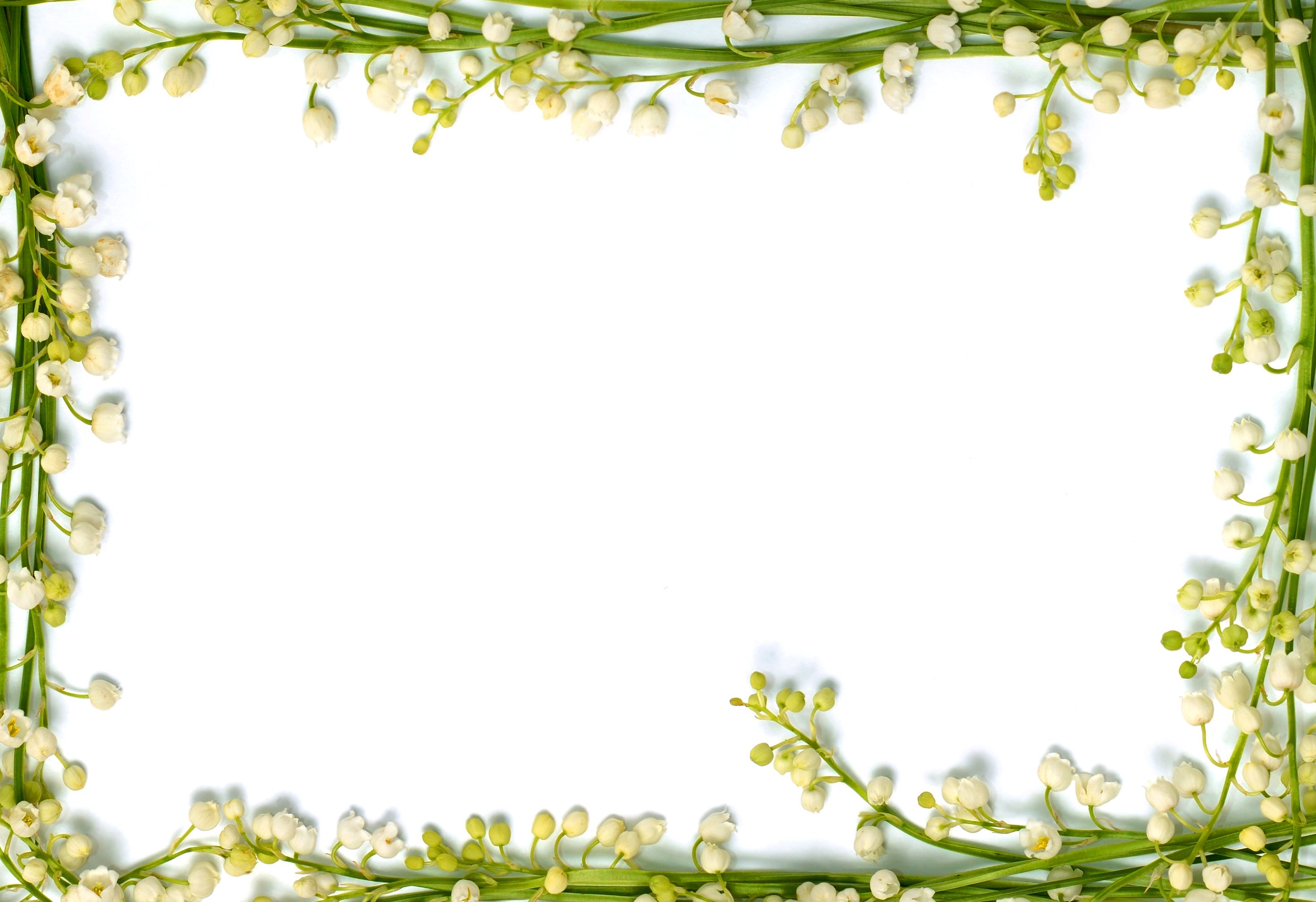 Classical Frame With Flower Design 02 Free Download