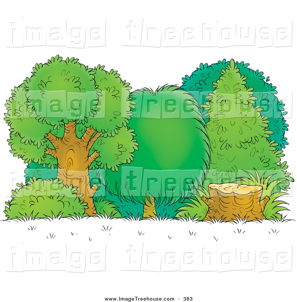 Free Green Forest Trees Clipart, Download Free Green Forest Trees Clipart  png images, Free ClipArts on Clipart Library