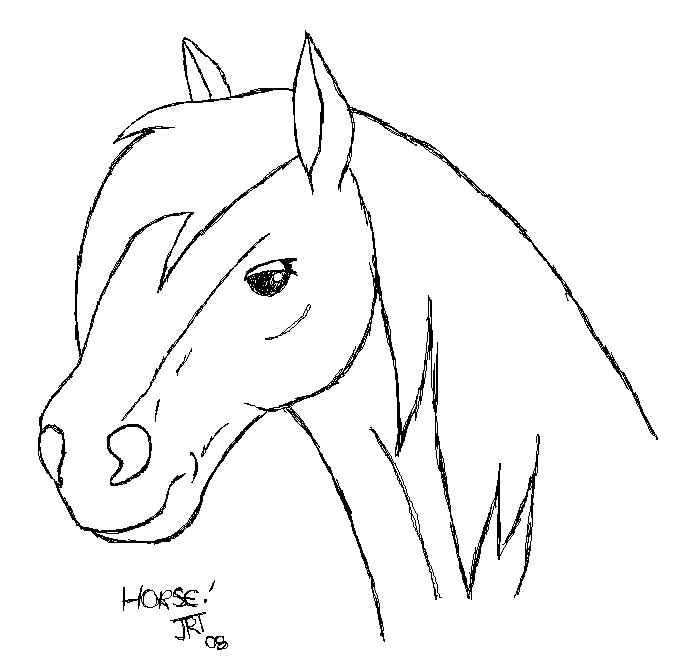 outline of a horse - Clip Art Library
