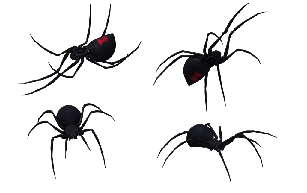 Free Black Widow Spider Art, Download Free Black Widow Spider Art png