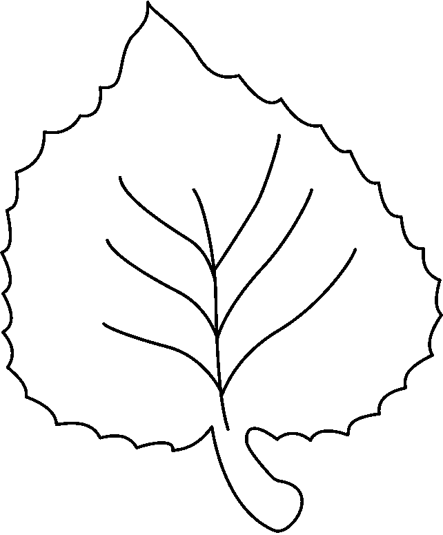 Pix For  White Leaves Outline