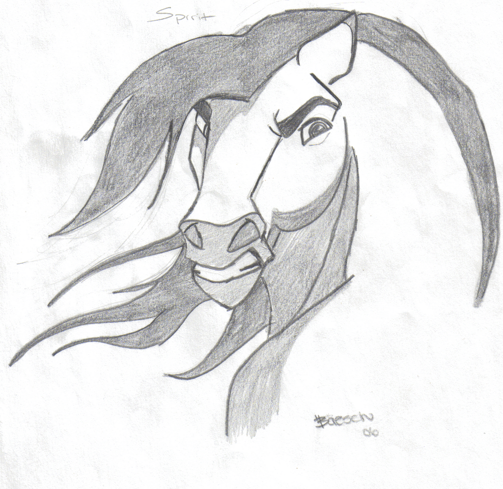 spirit the horse drawings.