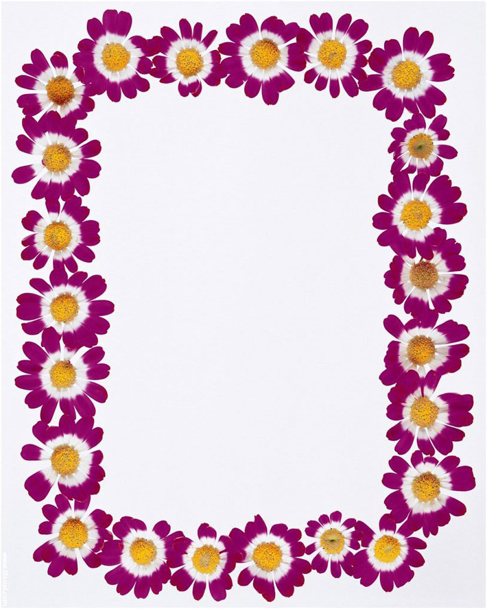 Free Free Printable Border Designs For Paper, Download Free Free