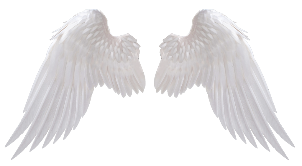 Black angel wing PNG by StarsColdNight on Clipart library
