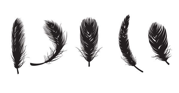 Free_feather_vectors.png