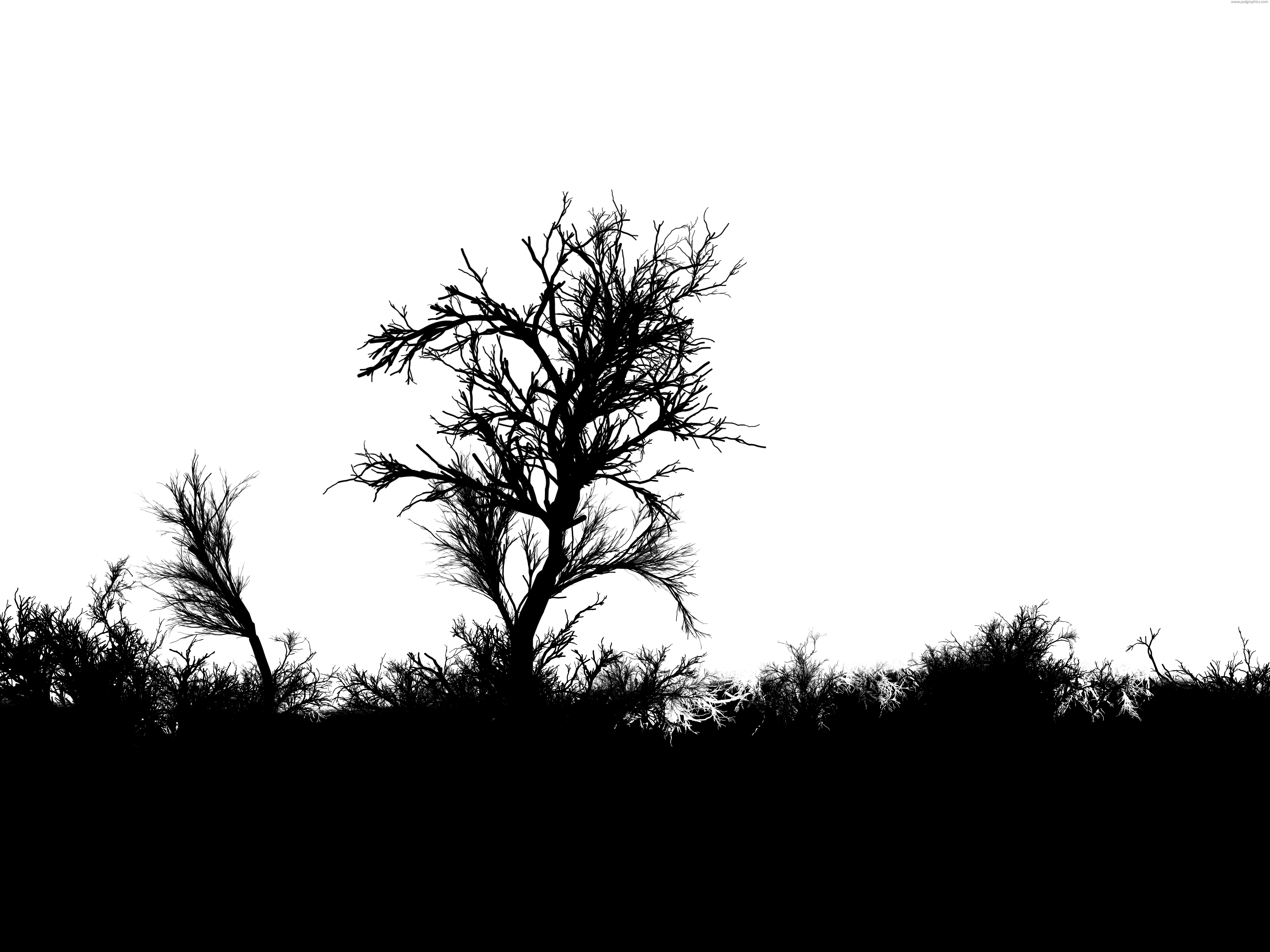 Horror forest background | PSDGraphics
