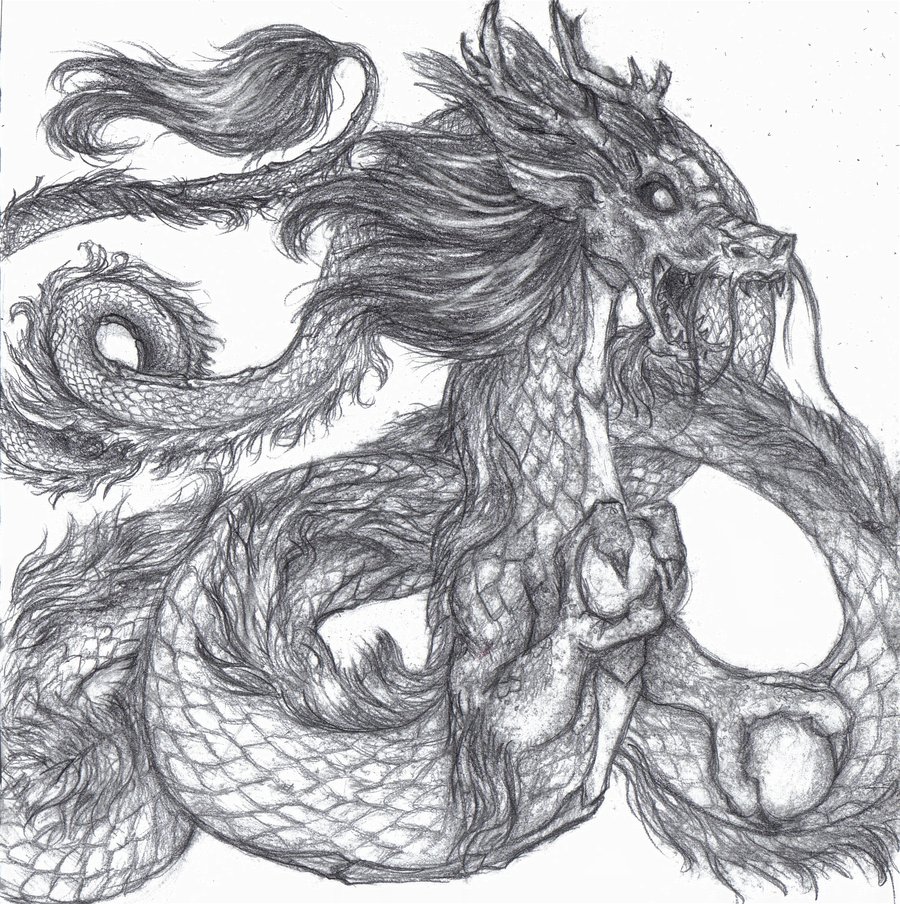 Clipart library: More Artists Like Chinese Dragon by mythcraze776