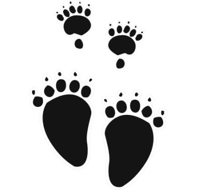 Identify Animal Footprints | Zoology  Trivia