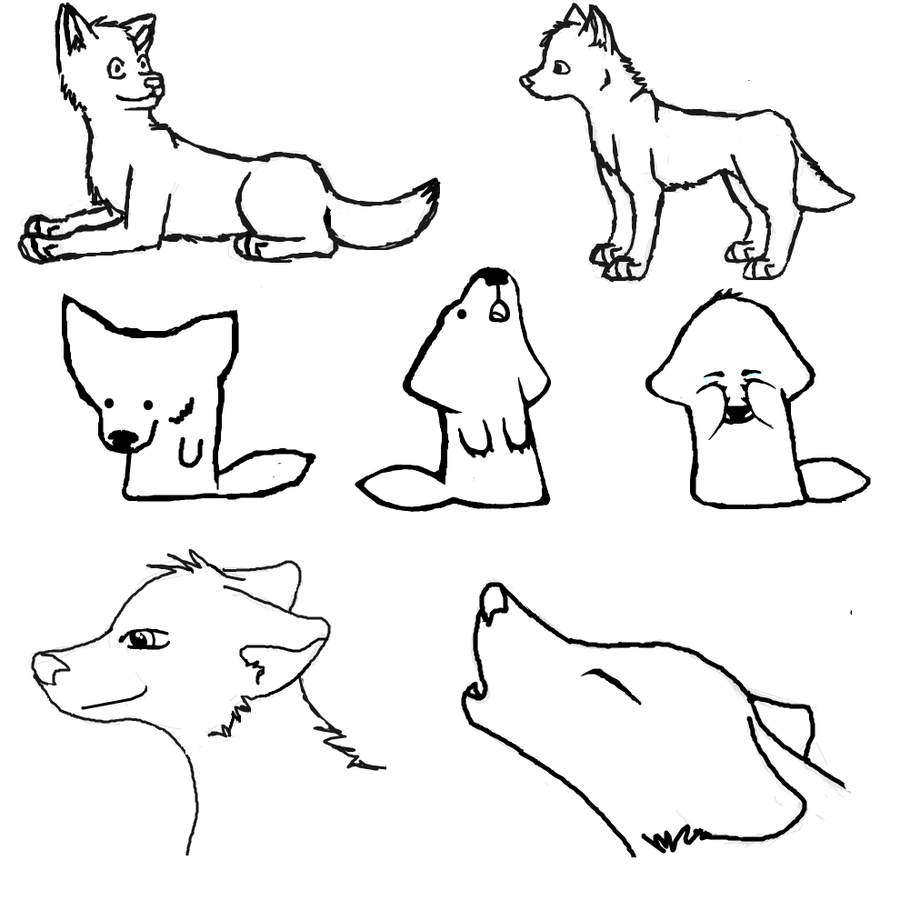 how to draw a cute wolf step by step