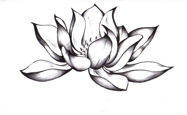 Black and White Lotus Flower Tattoo | amazing lotus flower tattoo 