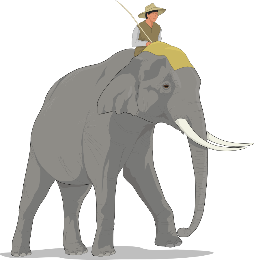 Elephant Clipart - Animal Wallpapers (7264)