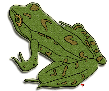Realistic Frog Clipart, Echo
