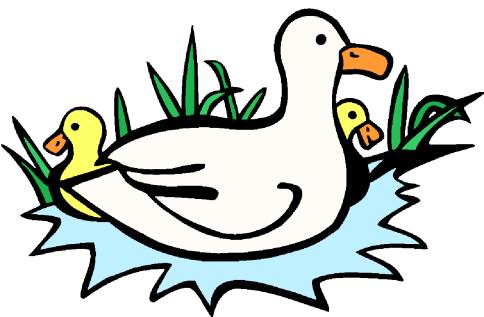 Ducklings Clipart - Clipart library